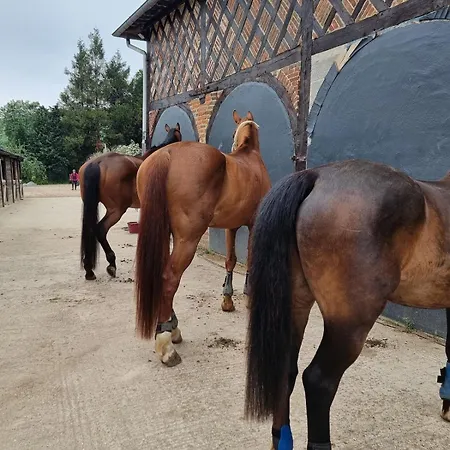 Le Petit Haras De Alpstuga Valmont (Seine-Maritime)